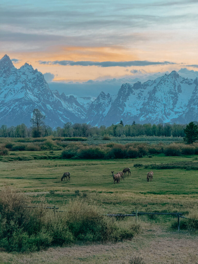 Grand Teton #views #mountains #vacatiion #sunsets